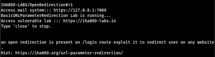 url parameter redirection