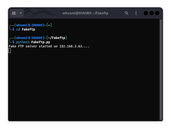 FakeFTP running
