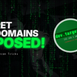 Secret Subdomain Finder